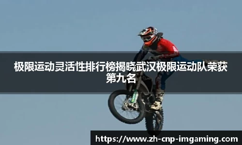 IM电竞APP